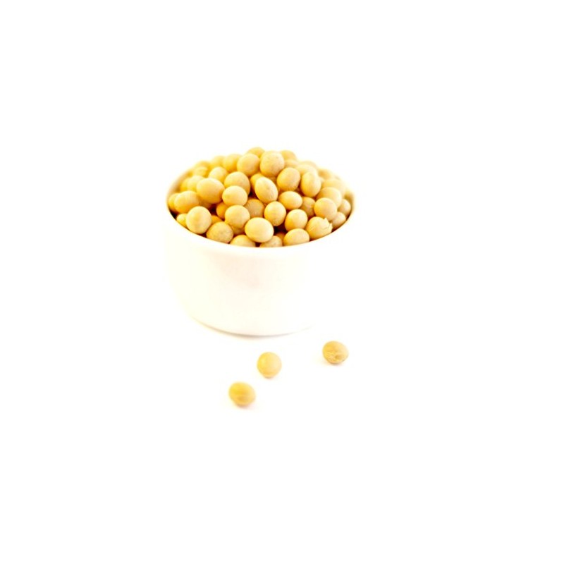 Premium Grade Non-GMO Soybeans (5 Pounds) - Great for Soy