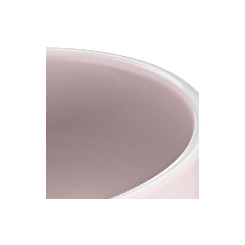 Devon Ceramics Ltd Set of Stoneware Dinner Plates (Set of