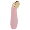 Facial Beauty Massager Hot Compress Vibration EMS Microcurrent Skin Tightening