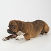 SPOT Bam-Bones Wishbone - Made with Strong Bamboo Fiber, Durable