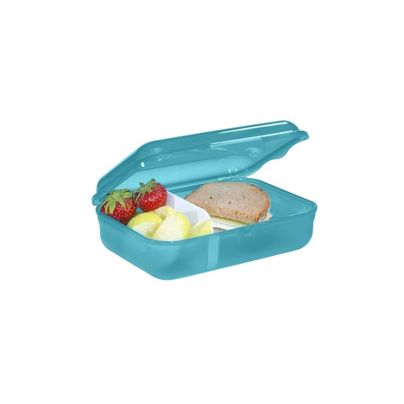 Step by Step Dog Basty Lunch Box Turquoise with Divider