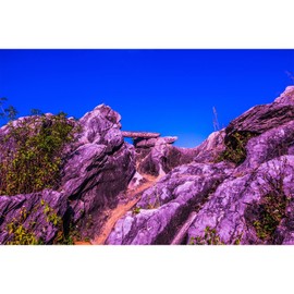 Reptile Habitat Background Blue Sky Rock Mountain Gobi Terrarium Background Eroded Stone Mountains Jungle Plants Aquarium Background Desert Blue Sky Mountain Fish Tank Background Vinyl 48x18in