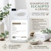 Shampoo a Granel sin Sulfatos de Eucalipto Brillo Excepcional 1
