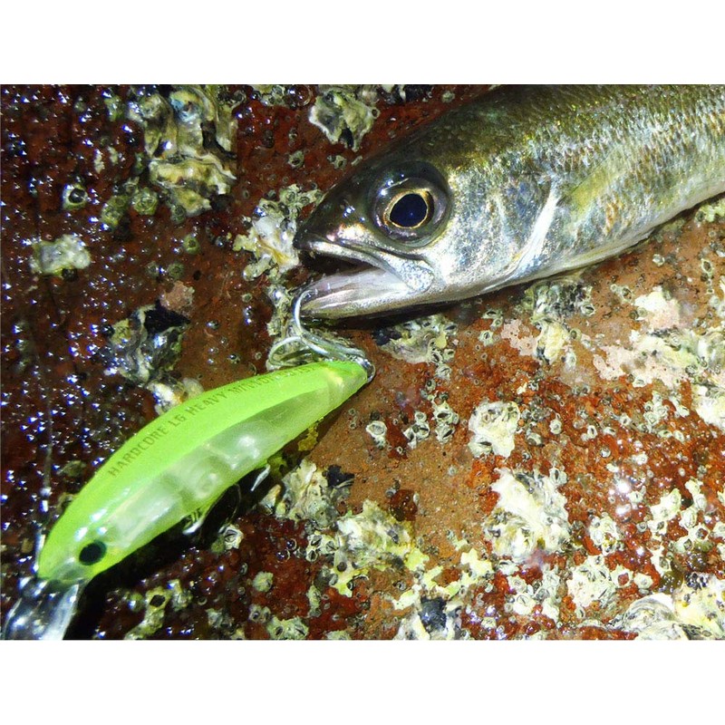DUEL HARDCORE Lure, Heavy Sinking Minnow, Hardcore, LG Heavy Minnow