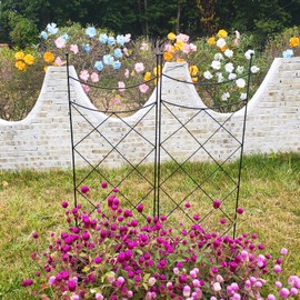 45.3" H x 15" W Metal Garden Trellis for Climbing Plants, Black Iron Trellis for Vines Plant Rose Vegetable Support,Large Decorative Outdoor Trellis，2 Pack