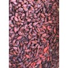 Goji Berry Plant 5 Cuttings With Pot Live Plant Ready