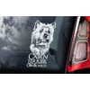 Cairn Terrier Dog on Board Car Window Sticker White Back