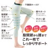 Alphax Hip Joint Knee Supporter Doctor Support Spats Pita Skin