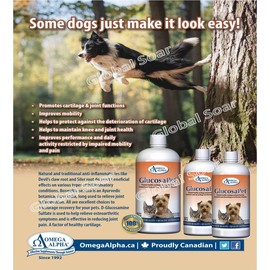 Omega Alpha Pets Performance and Mobility- GlucosaPet (1L)