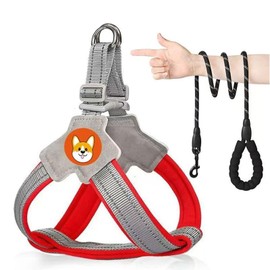 Pokmill Dog Harness 6.6 ft (2 m) Lead Set for Small/Medium-Sized Dogs, Breathable, Adjustable, Easy to Put On and Take Off, Night Reflective Material, Stylish, Safe, Cute, Easy Walk (S/M/L/XL)