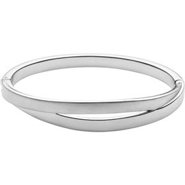 Skagen 32002745 Women's Bangle Stainless Steel, Stainless Steel, Silver