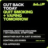Blip NRT Nicotine Gum - 2mg Mint Freeze Flavor (20