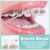 2 Pack Orthodontic Elastic Bands Rabbit 3/16" Braces Rubber Bands