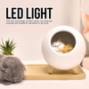 LED Night Light, Cute Cat Little Pet House LED USB