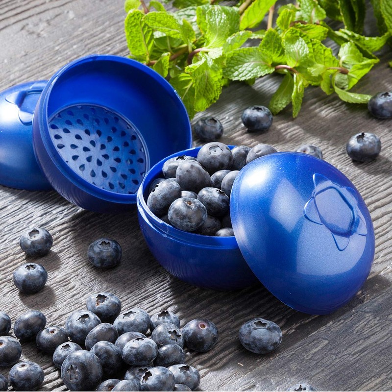 Hutzler Berries Bento Boxes, one size, Blueberries To-Go