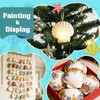 12 Pcs 4-5 Inch Large Scallop Seashells,Natural White Shells for