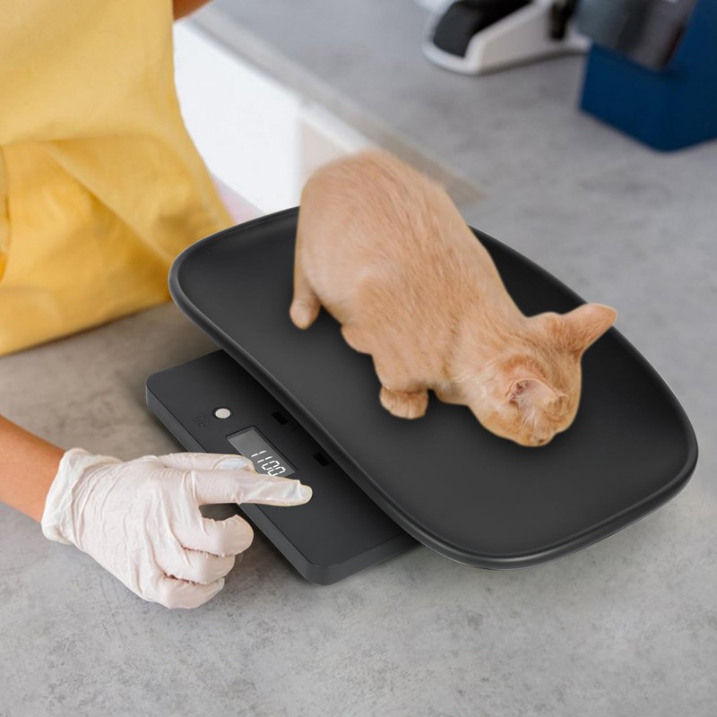 Absdefen Digital Pet Scale, Up to 33.1 lbs (15 kg),