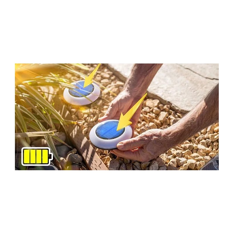 Brightology Colorize Solar Lights Color Change Ring Lights In-Ground 6