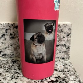 Roodabeguh Portrait 3x3 Stickers 3.0mil Thick Matte Lamination Waterproof 3M Vinyl Adhesive for Water Bottles Laptops Desks etc