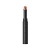 Kate Dimensional Rouge BR-6 Brown Lipstick