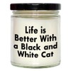 Black and White Cat Dad Gifts | Funny Life is