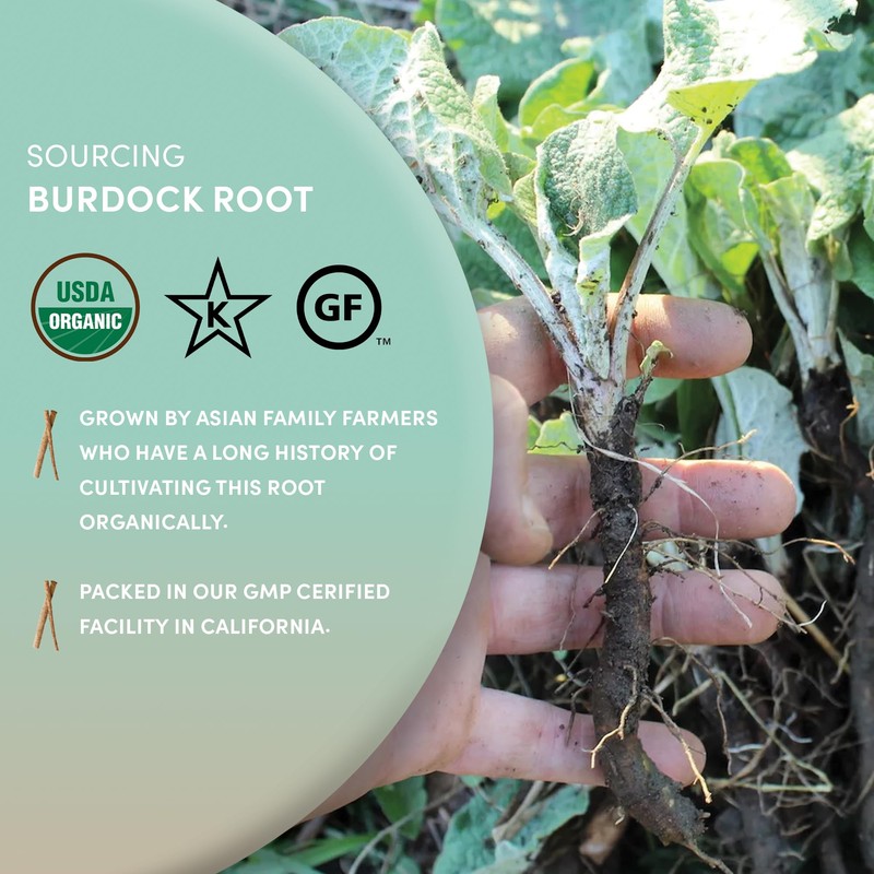 Worldwide Botanicals Organic Burdock Root – 1 lb - 100%