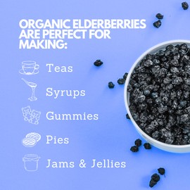 PassionBio Organic Elderberries 1 lb Bulk Bag - USDA Certified, Non-GMO Sambucus Nigra, Whole Dried Fruit - Natural, No Added Sugar, No Preservatives