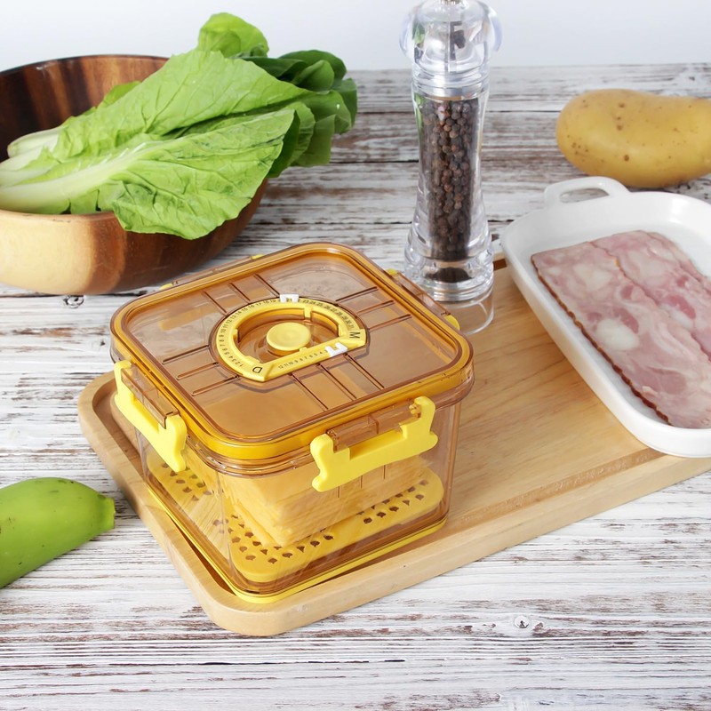 Tellshun Sliced Cheese Container with Airtight Lid for Mini Fridge