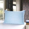 townssilk Both Side 100% 19mm Silk Pillowcase Queen Size Pillow