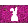 Reusable Sturdy Stencil - Easter Bunny Rabbit - 8.5" x