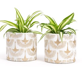 Vimin Box Pair of Terracotta Vases Hand Decorated White and Gold for Plants and Flowers, Home Decoration, Diameter 11 cm - 11 cm (White/Gold, 2 x S)
