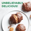 RUSSELL STOVER Sugar Free Pecan Delight Chocolate Candy, 4.7 oz.