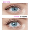 Stacy Lash Growth Serum (0.17fl.oz / 5ml) | Eyebrow &