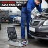 TLGREEN 799pcs Mechanic Tool Set with Aluminum Trolley Case,Home Repair