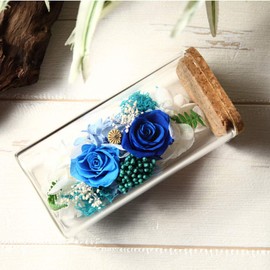 TEATSIGHT Preserved Flower Bottle Gift Boxed Soleil (Roses, Blue)
