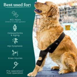 Paw Haven Adjustable Dog Knee Brace for Front or Hind Leg - Dog Leg Brace for Torn ACL, Cruciate Ligament Injury, Luxating Patella, Osteoarthritis, Joint Pain, and Surgery Recovery, Size Small