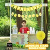 THE KING HIS QUEEN Lemonade Stand Supplies 50 Pcs Lemonade