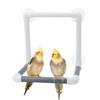 Bird Portable Suction Cup Shower Perch Parrot Window Wall Standing
