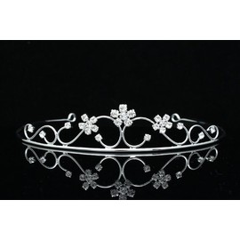 Princess Bridesmaid Flower Girl Rhinestone Crystal Tiara (Clear Crystals Silver Plated)