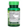 Nature's Truth Suplemento de Moringa Oleífera 3000 mg 60 Cápsulas