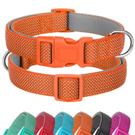 Didog Reflective Dog Collar with Buckle Adjustable Soft Neoprene Padded Nylon Pet Collars for Small Medium Large Dogs Orange M