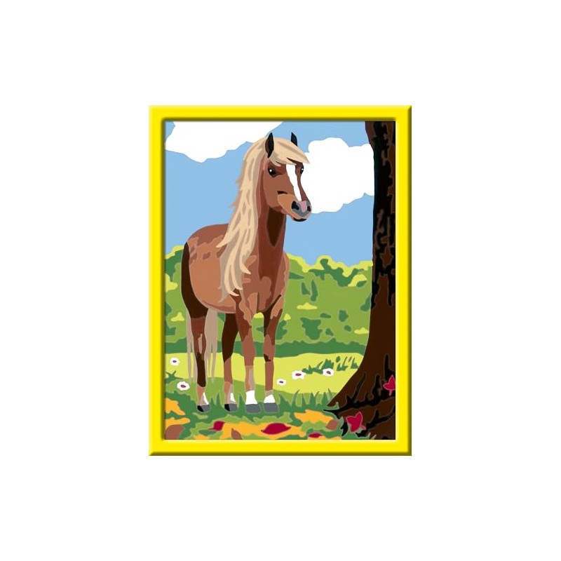 Ravensburger Paint by Numbers, multicoloured