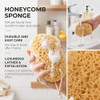 piezas de esponja de baño, esponjas marinas naturales para ducha,