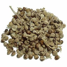 チェストツリー 200g