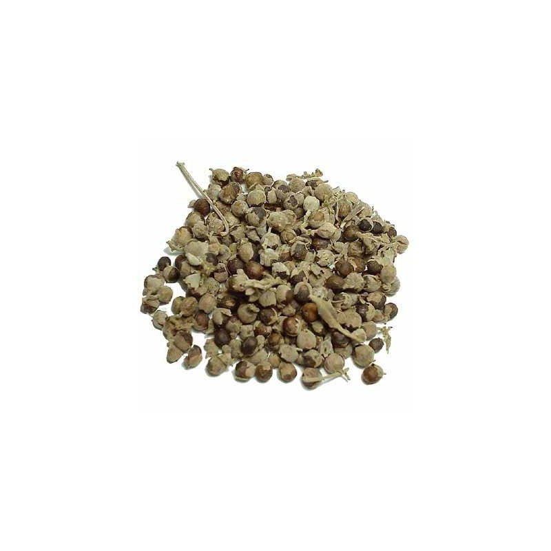 チェストツリー 200g