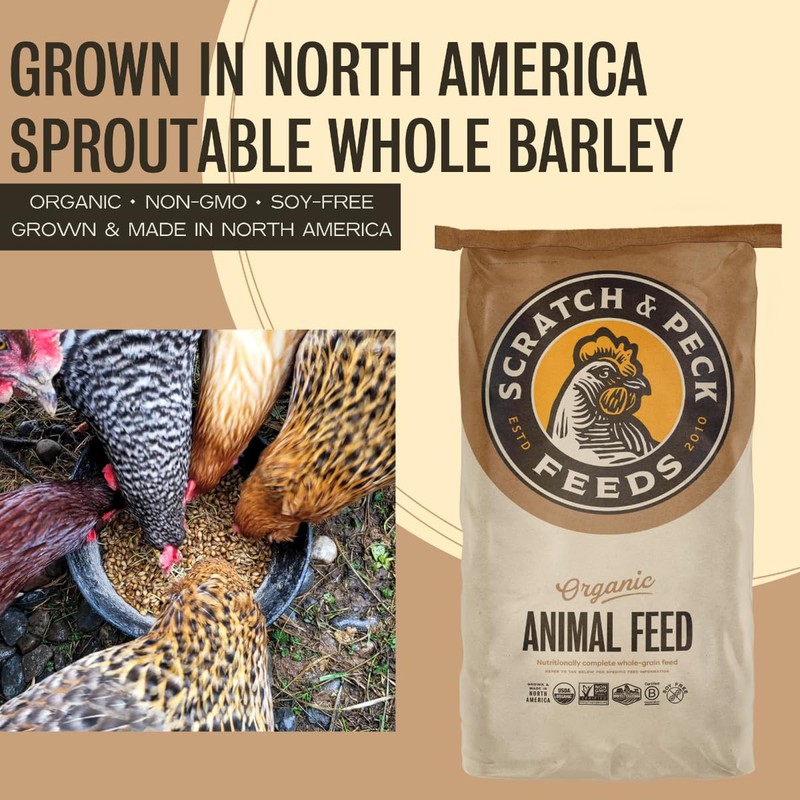 Scratch and Peck Whole Barley Chicken, Duck and Livestock Supplemental