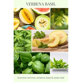 ECO CANDLE CO. Tea Light Candles, Verbena Basil, 10-Pack - Scents of Lemons, Verbena, Basil, & Cedar - Recyclable, 100% Soy Wax, No Lead, Hand Poured, Made from Midwest Grown Soybeans, .6 oz. Each