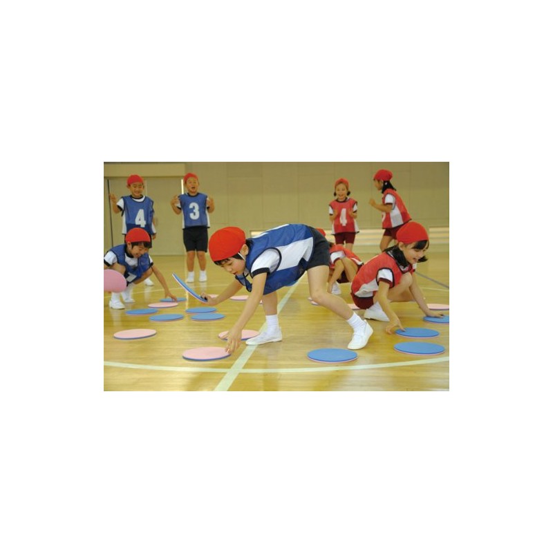 EVERNEW ETE092 Indoor Sports Reversi, Set of 10, Diameter 9.1