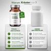 Kräutermax MSM Capsules High Dose Methylsulfonylmethane in Capsules Pure MSM