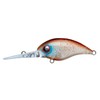 Cormoran AquaWave Miyabis 45DR #A127A Firefly Squid 1.8 inches (45